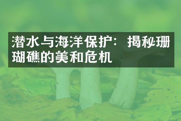 潜水与海洋保护：揭秘珊瑚礁的美和危机