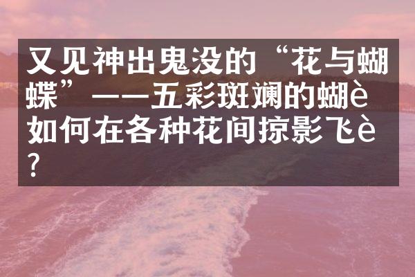 又见神出鬼没的“花与蝴蝶”——五彩斑斓的蝴蝶如何在各种花间掠影飞舞？