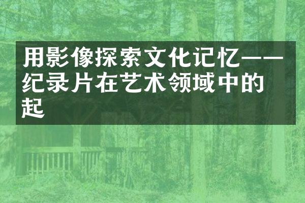 用影像探索文化记忆——纪录片在艺术领域中的崛起