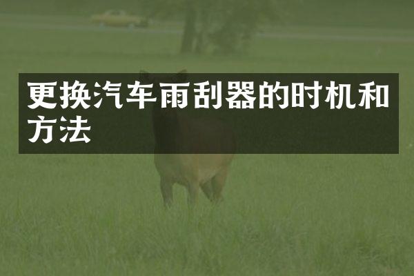 更换汽车雨刮器的时机和方法