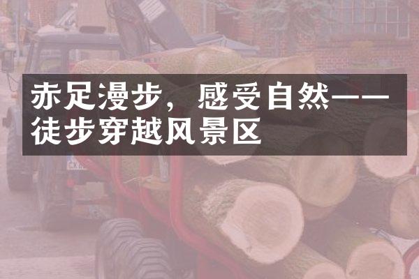 赤足漫步，感受自然——徒步穿越风景区