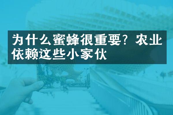 为什么蜜蜂很重要？农业依赖这些小家伙