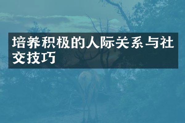 培养积极的人际关系与社交技巧