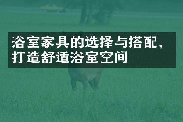 浴室家具的选择与搭配，打造舒适浴室空间