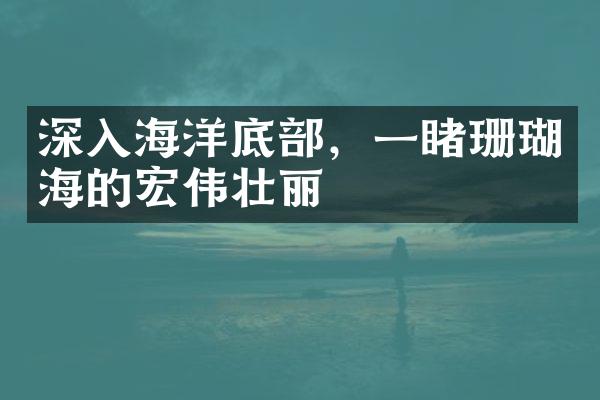 深入海洋底部，一睹珊瑚海的宏伟壮丽