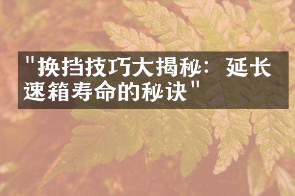 "换挡技巧大揭秘：延长变速箱寿命的秘诀"