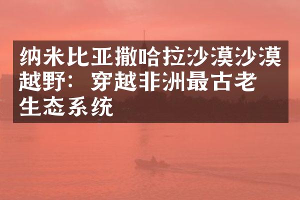 纳米比亚撒哈拉沙漠沙漠越野：穿越非洲最古老的生态系统