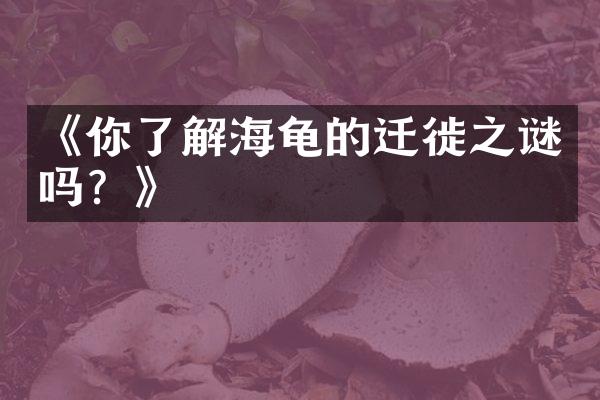 《你了解海龟的迁徙之谜吗？》