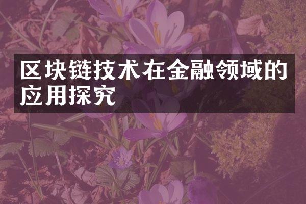 区块链技术在金融领域的应用探究