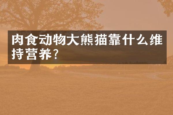 肉食动物大熊猫靠什么维持营养？