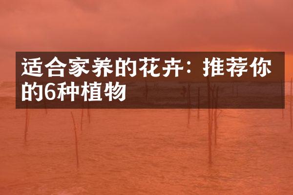 适合家养的花卉: 推荐你养的6种植物