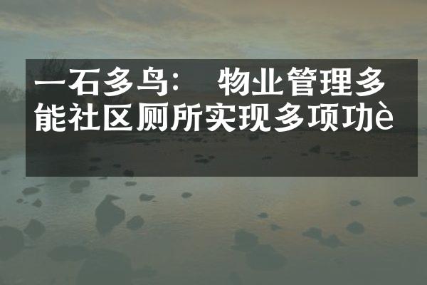 一石多鸟： 物业管理多功能社区厕所实现多项功能