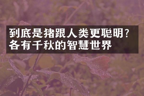 到底是猪跟人类更聪明？各有千秋的智慧世界