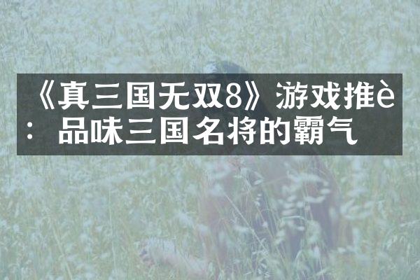 《真三国无双8》游戏推荐：品味三国名将的霸气