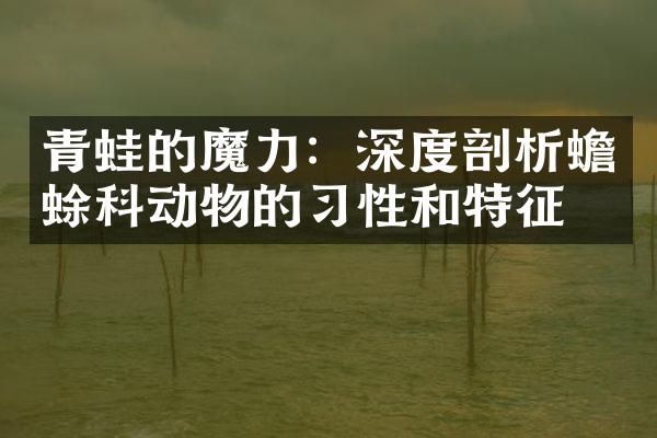 青蛙的魔力：深度剖析蟾蜍科动物的习性和特征