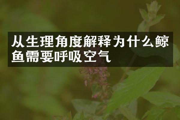 从生理角度解释为什么鲸鱼需要呼吸空气