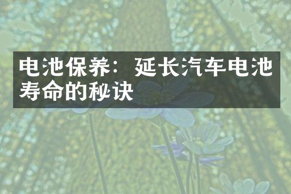 电池保养：延长汽车电池寿命的秘诀