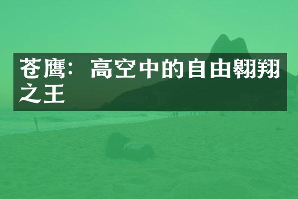 苍鹰：高空中的自由翱翔之王
