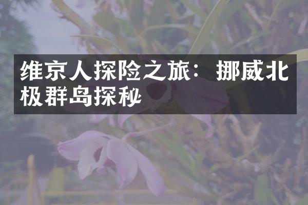 维京人探险之旅：挪威北极群岛探秘
