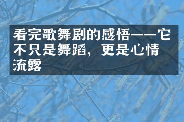 看完歌舞剧的感悟——它不只是舞蹈，更是心情的流露