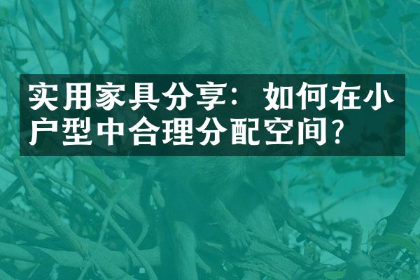 实用家具分享：如何在小户型中合理分配空间？