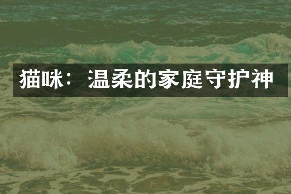 猫咪：温柔的家庭守护神