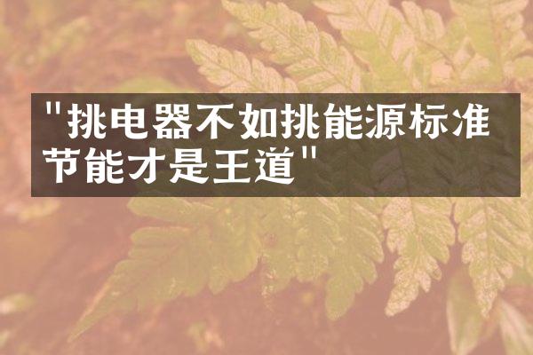 "挑电器不如挑能源标准，节能才是王道"