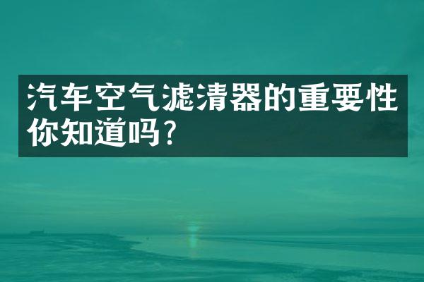 汽车空气滤清器的重要性你知道吗？