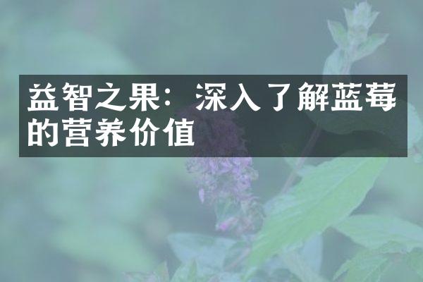 益智之果：深入了解蓝莓的营养价值