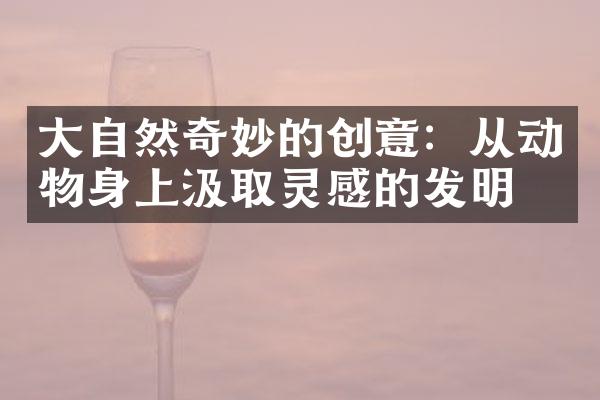 大自然奇妙的创意：从动物身上汲取灵感的发明