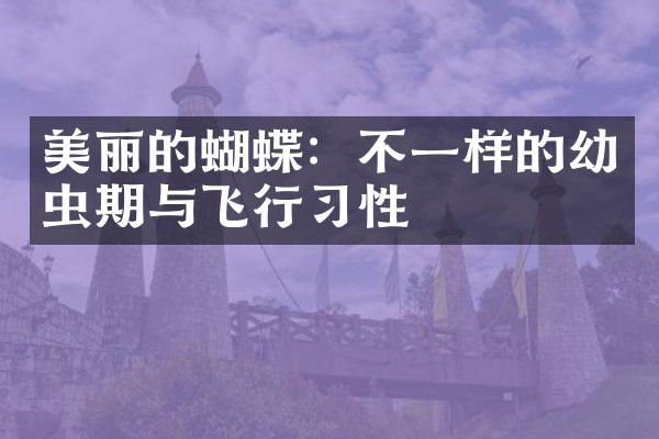美丽的蝴蝶：不一样的幼虫期与飞行习性
