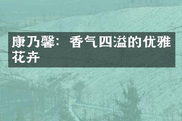 康乃馨：香气四溢的优雅花卉