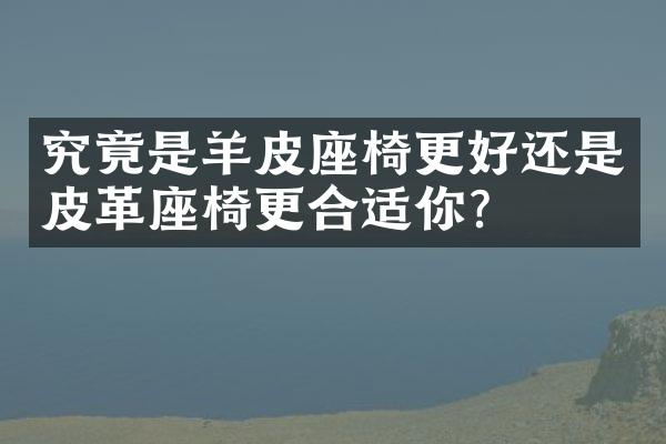 究竟是羊皮座椅更好还是皮革座椅更合适你？