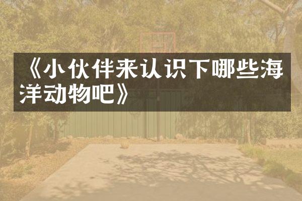 《小伙伴来认识下哪些海洋动物吧》