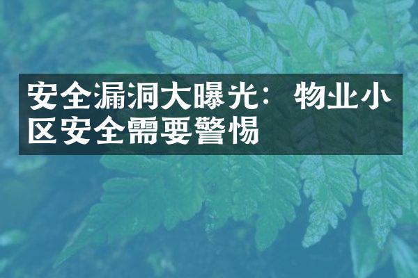 安全漏洞大曝光：物业小区安全需要警惕