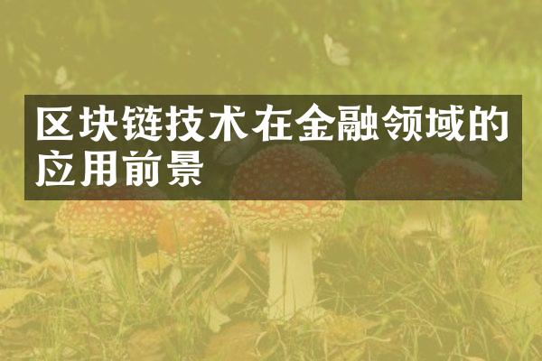 区块链技术在金融领域的应用前景
