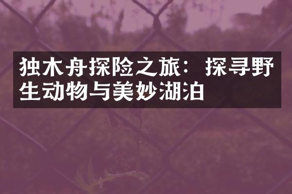 独木舟探险之旅：探寻野生动物与美妙湖泊