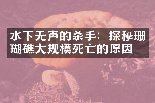 水下无声的杀手：探秘珊瑚礁大规模死亡的原因