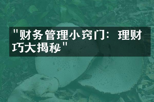 "财务管理小窍门：理财技巧大揭秘"
