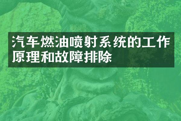 汽车燃油喷射系统的工作原理和故障排除