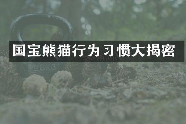 国宝熊猫行为习惯大揭密