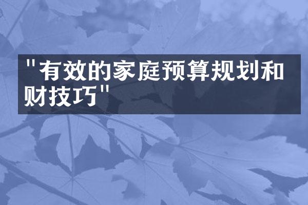 "有效的家庭预算规划和理财技巧"