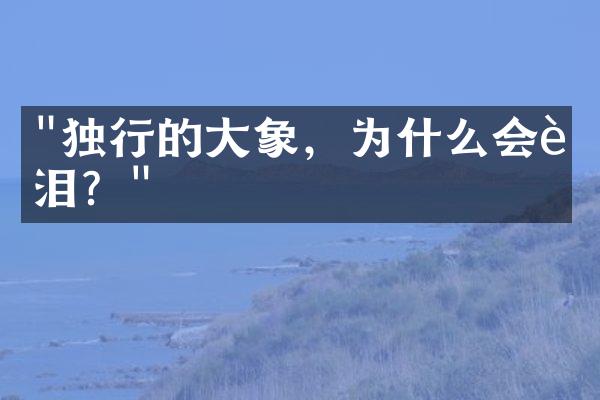 "独行的大象，为什么会落泪？"