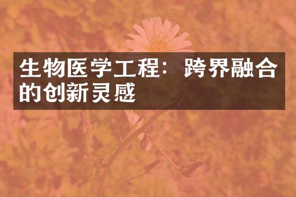 生物医学工程：跨界融合的创新灵感