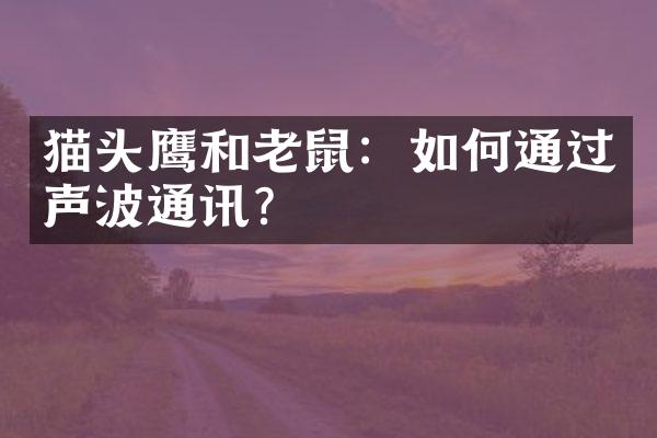 猫头鹰和老鼠：如何通过声波通讯？
