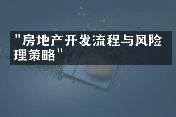 "房地产开发流程与风险管理策略"