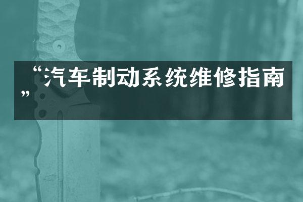 “汽车制动系统维修指南”