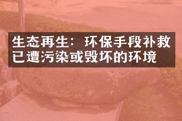 生态再生：环保手段补救已遭污染或毁坏的环境