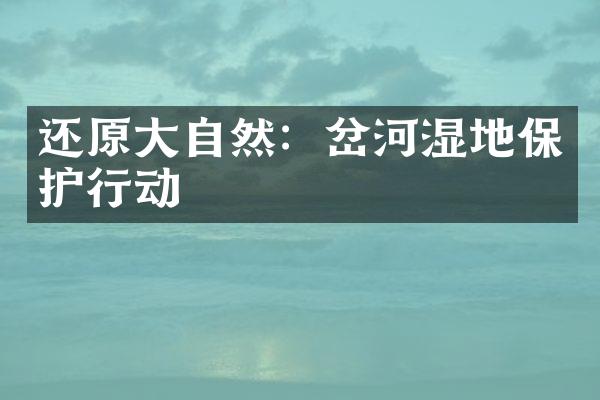 还原大自然：岔河湿地保护行动