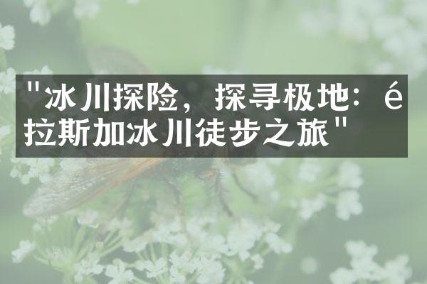 "冰川探险，探寻极地：阿拉斯加冰川徒步之旅"